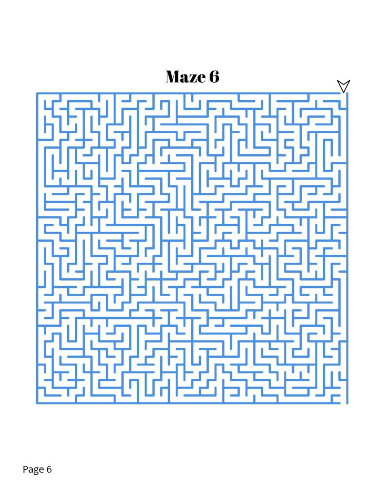 difficult maze puzzle