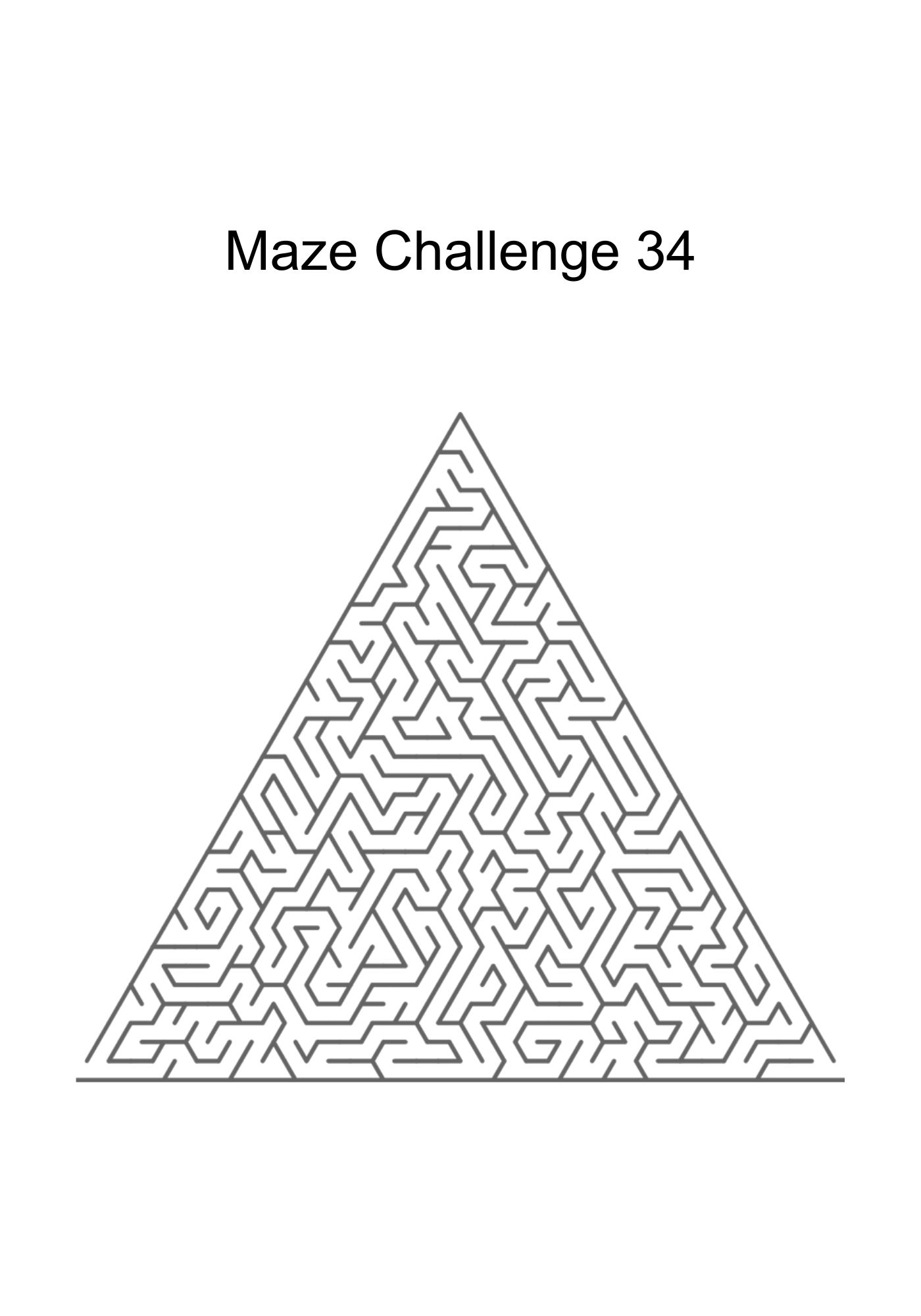 maze challenge puzzle